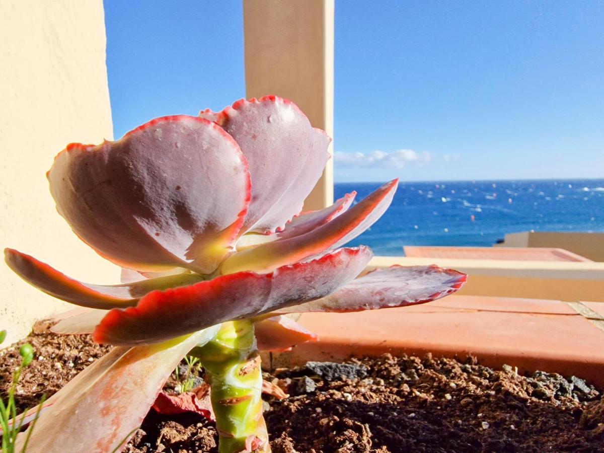 Medano4You The Ocean Terrace Penthouse エル・メダノ エクステリア 写真